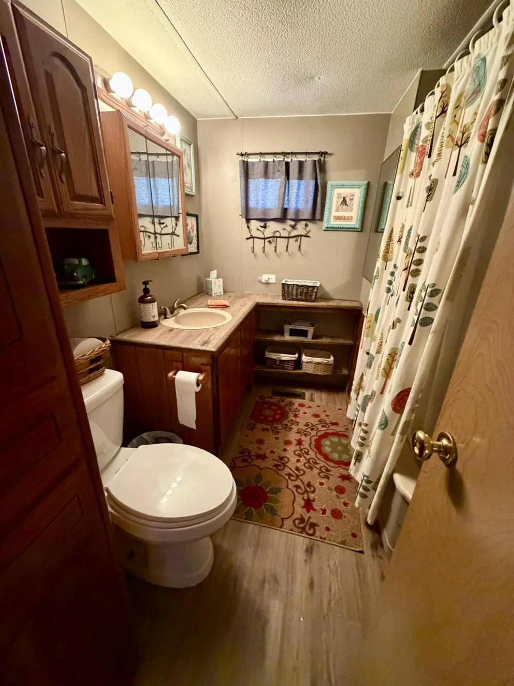10797 Twin Creek Road Irons, MI 49644