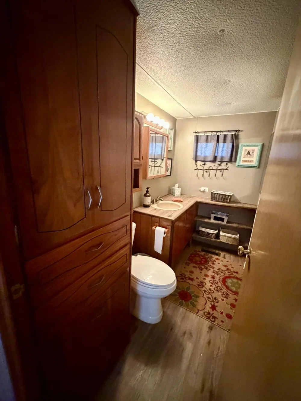 10797 Twin Creek Road Irons, MI 49644