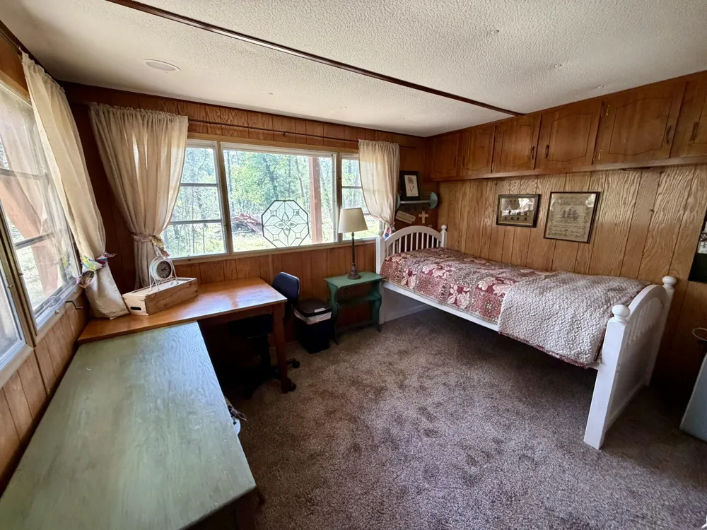 10797 Twin Creek Road Irons, MI 49644