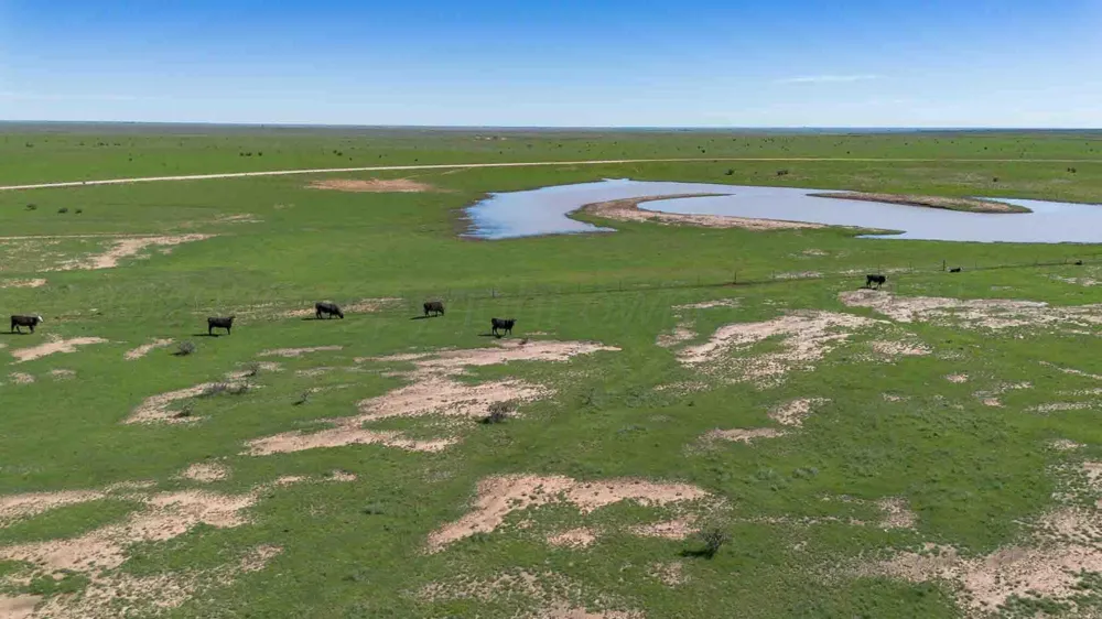 Wise Ranch 3,433.84 Acres Other - Not in list, NM 88430