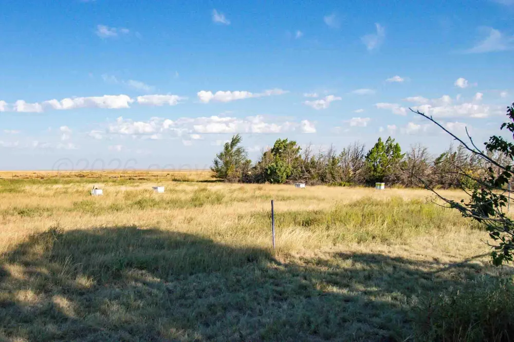 Wise Ranch 3,433.84 Acres Other - Not in list, NM 88430