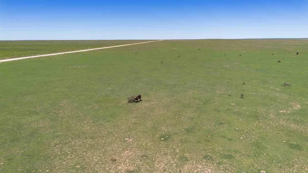 Wise Ranch 3,433.84 Acres Other - Not in list, NM 88430