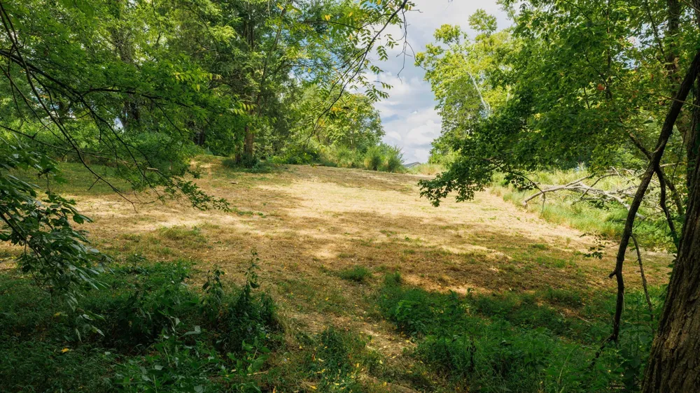 520 DERBY DOWNS Lebanon, TN 37087