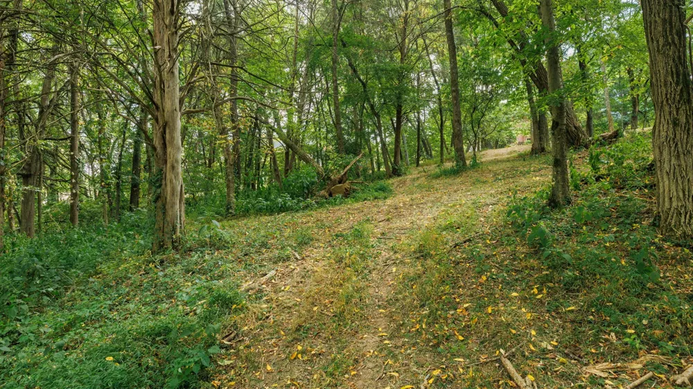 520 DERBY DOWNS Lebanon, TN 37087