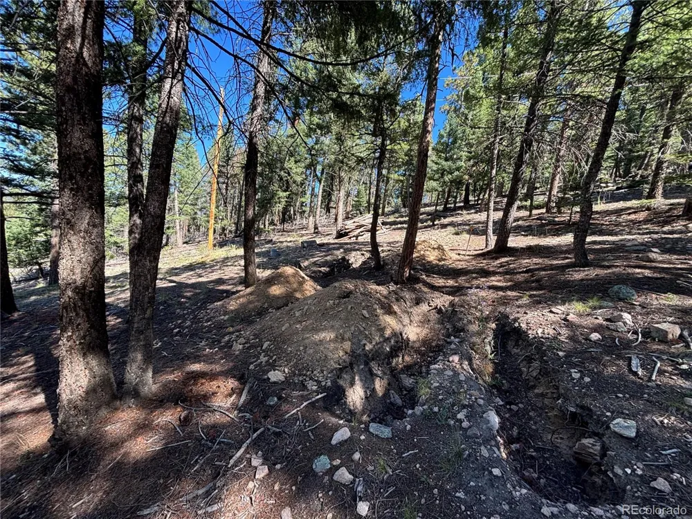 26460 Pleasant Park Road Conifer, CO 80433