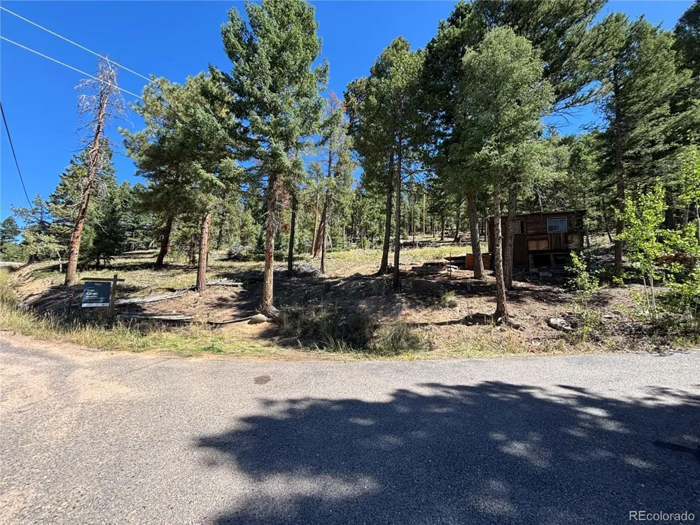 26460 Pleasant Park Road Conifer, CO 80433