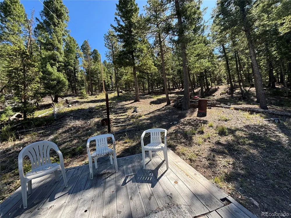 26460 Pleasant Park Road Conifer, CO 80433