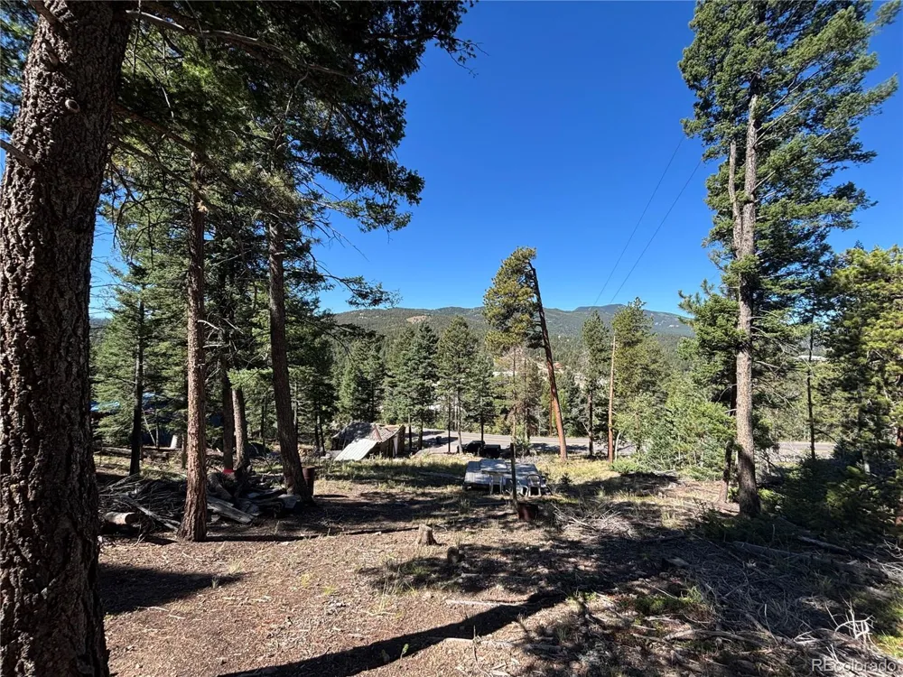 26460 Pleasant Park Road Conifer, CO 80433
