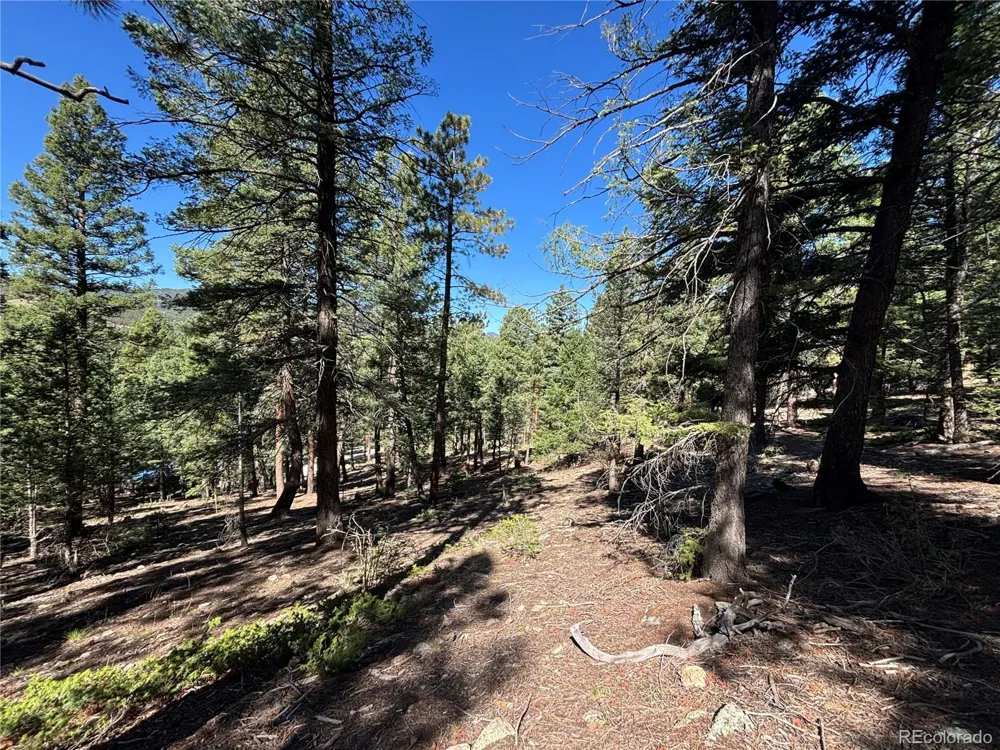 26460 Pleasant Park Road Conifer, CO 80433