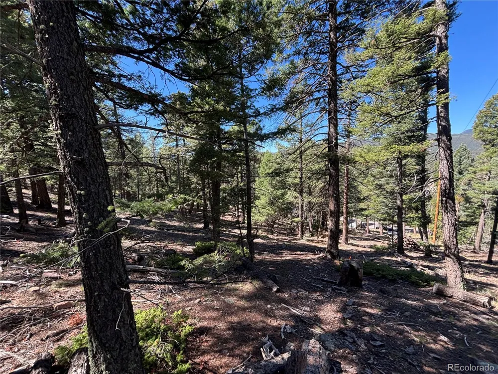 26460 Pleasant Park Road Conifer, CO 80433