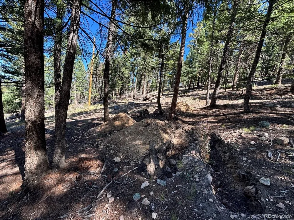 26460 Pleasant Park Road Conifer, CO 80433