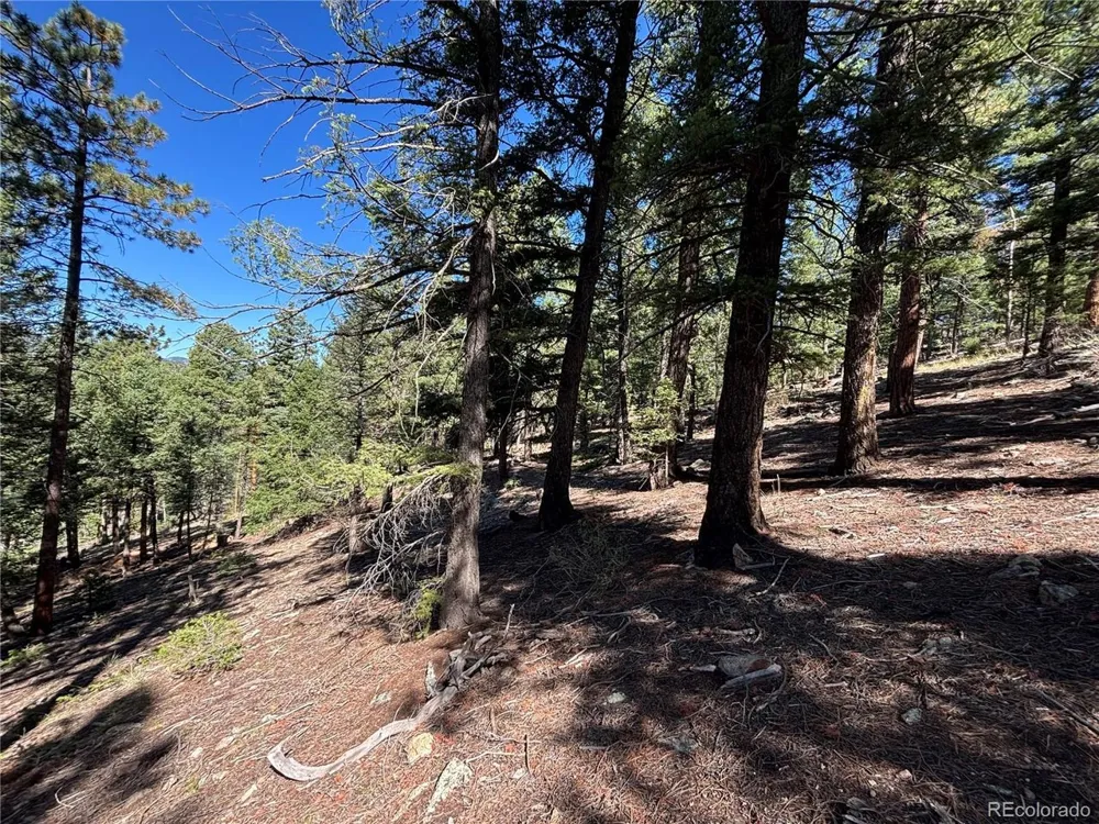 26460 Pleasant Park Road Conifer, CO 80433