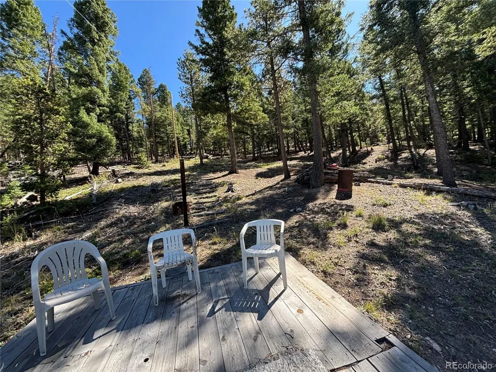 26460 Pleasant Park Road Conifer, CO 80433