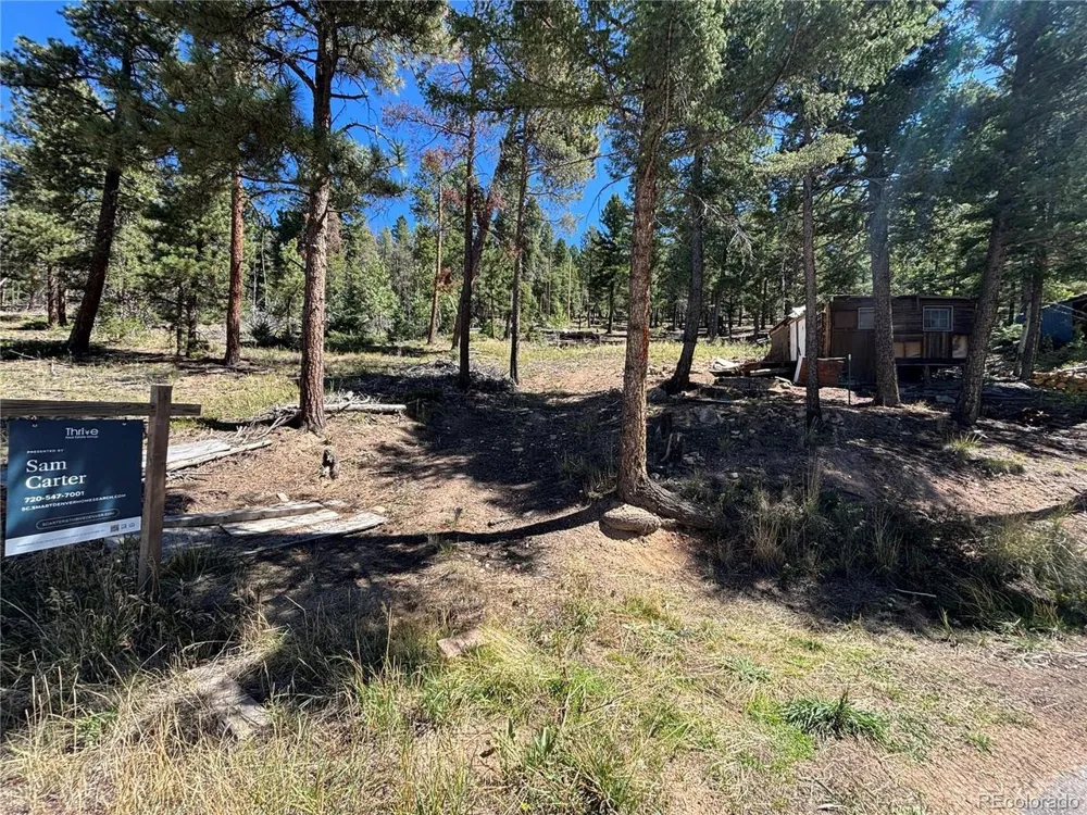 26460 Pleasant Park Road Conifer, CO 80433