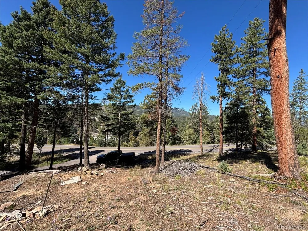 26460 Pleasant Park Road Conifer, CO 80433