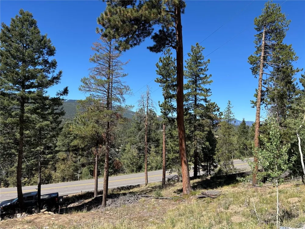 26460 Pleasant Park Road Conifer, CO 80433