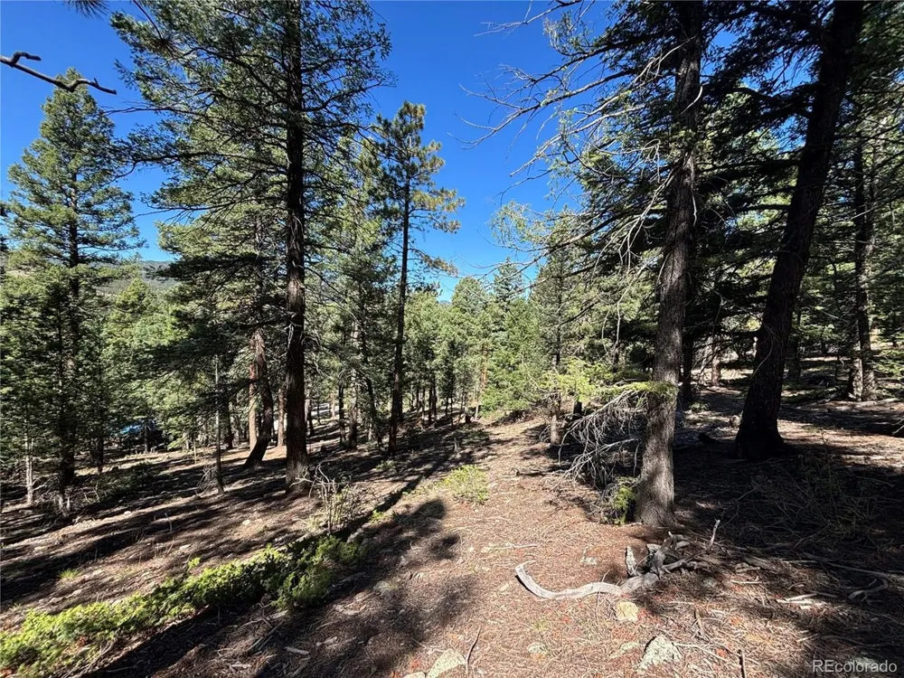26460 Pleasant Park Road Conifer, CO 80433