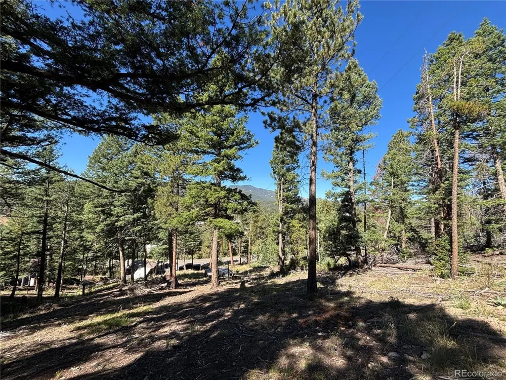 26460 Pleasant Park Road Conifer, CO 80433