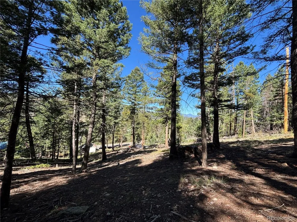 26460 Pleasant Park Road Conifer, CO 80433