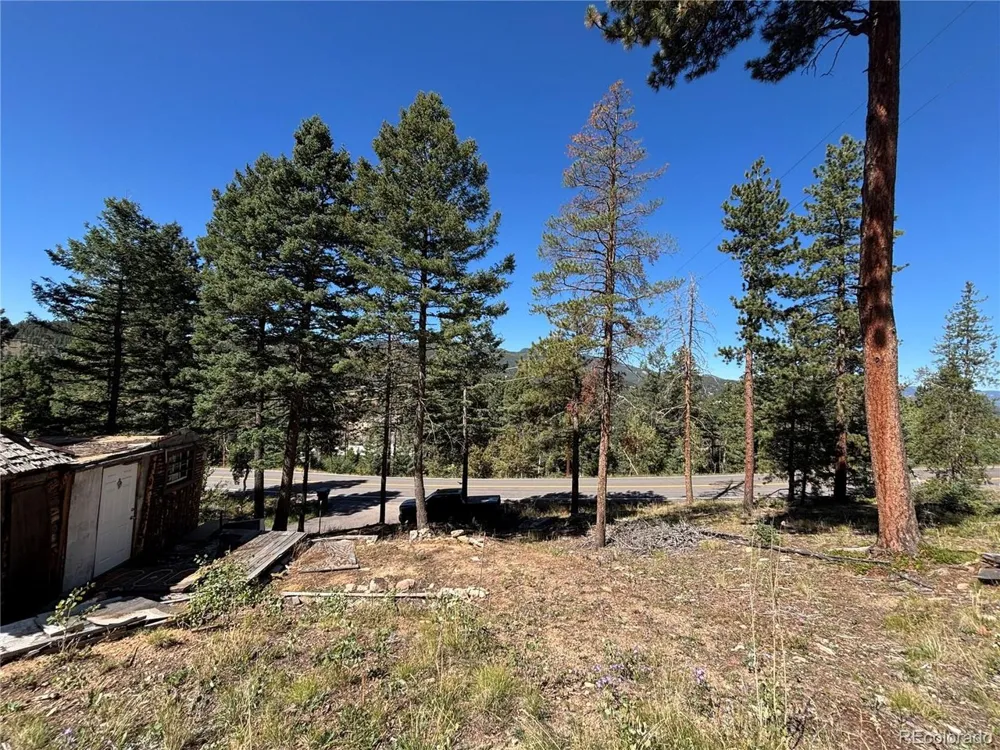 26460 Pleasant Park Road Conifer, CO 80433
