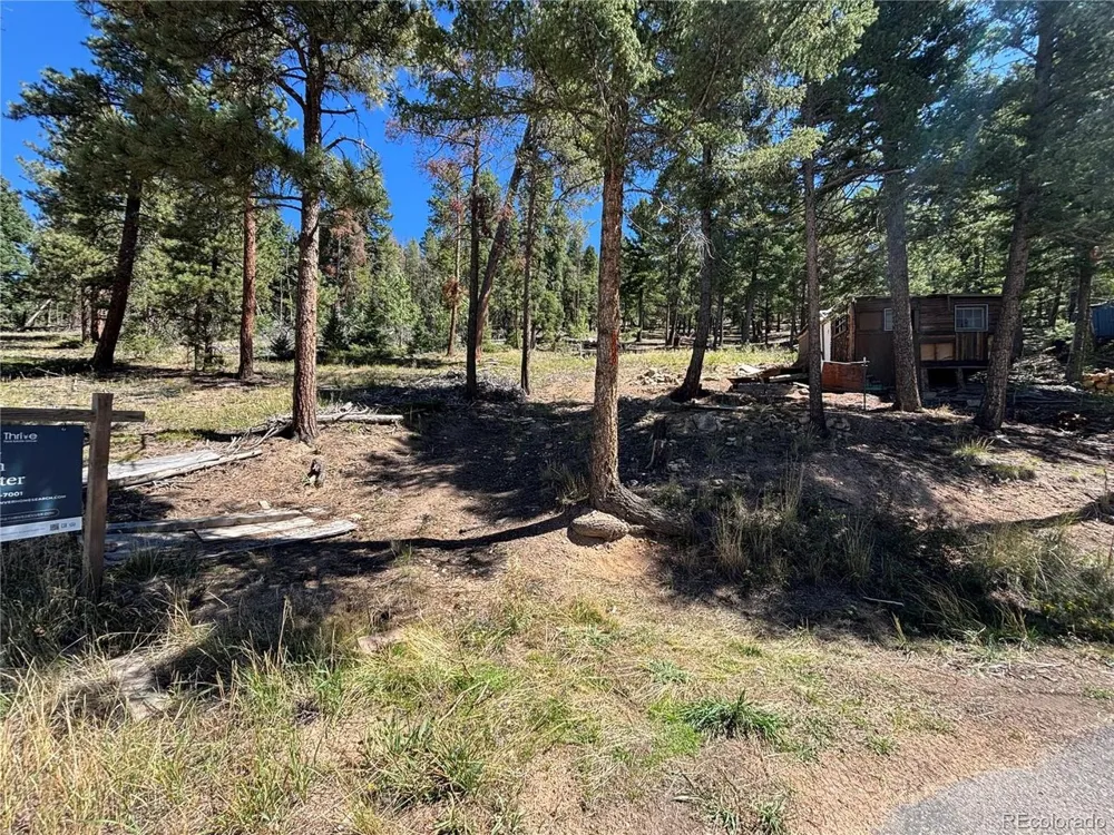 26460 Pleasant Park Road Conifer, CO 80433