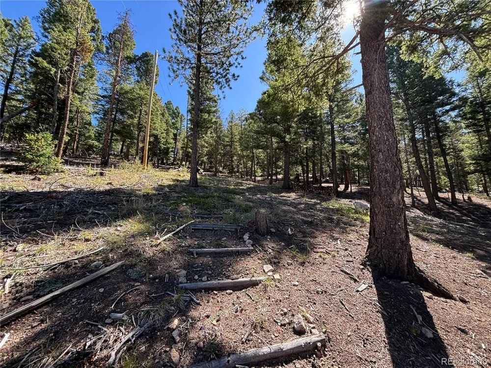 26460 Pleasant Park Road Conifer, CO 80433