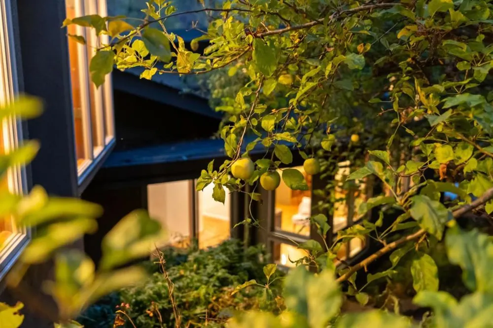 5300 Glen Haven Road Soquel, CA 95073