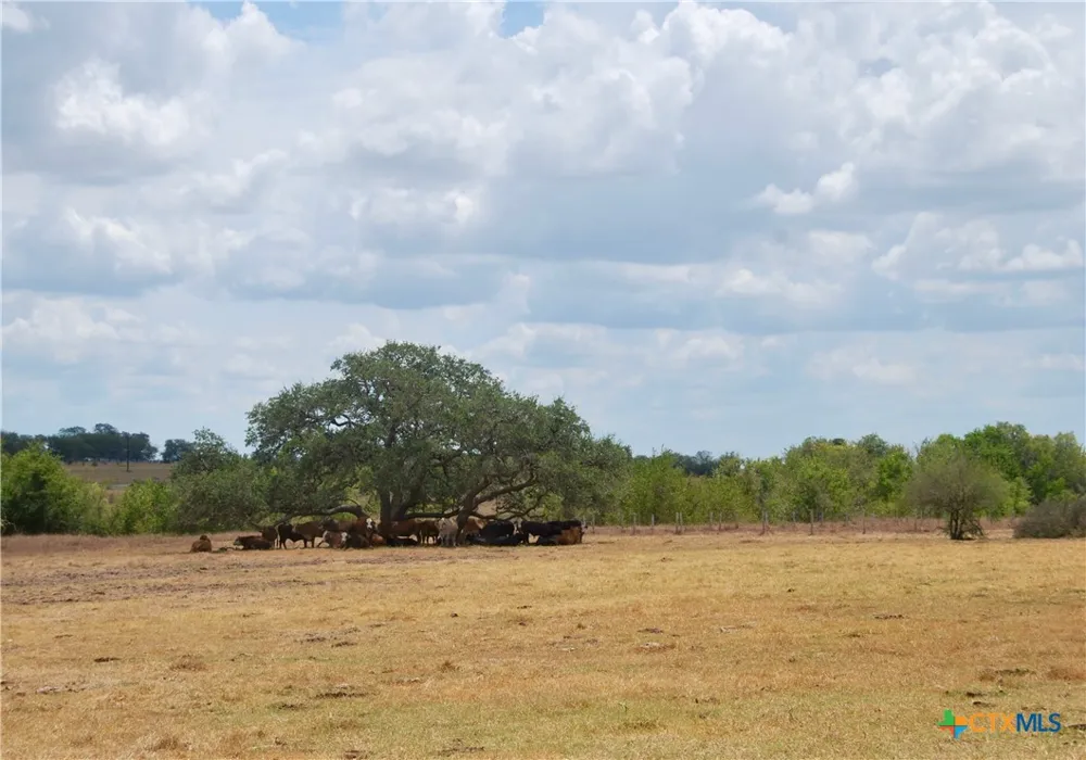 3 County Road 366 Shiner, TX 77984