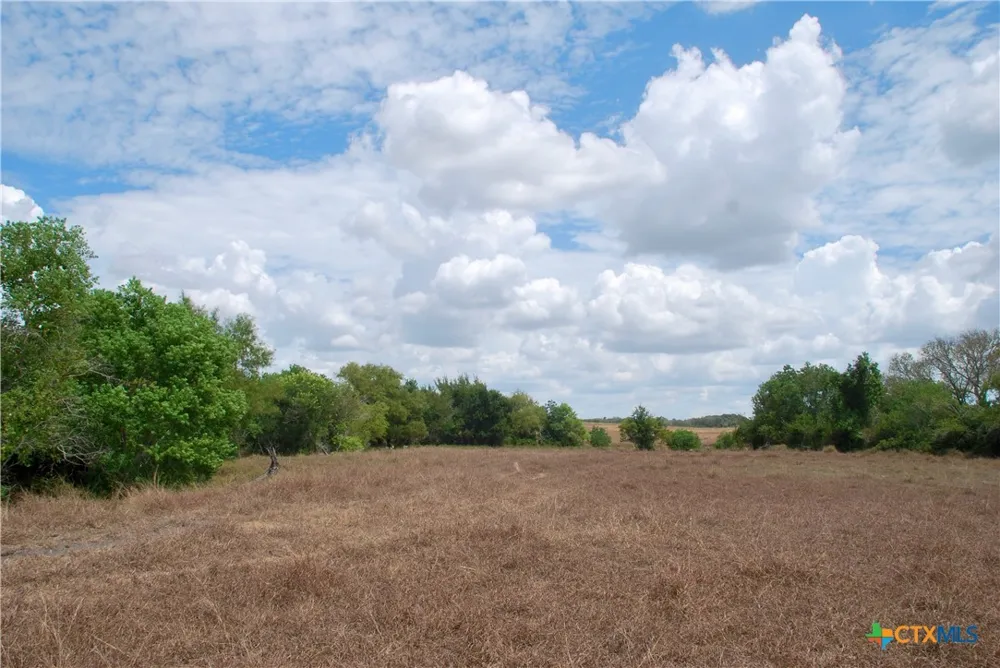 3 County Road 366 Shiner, TX 77984