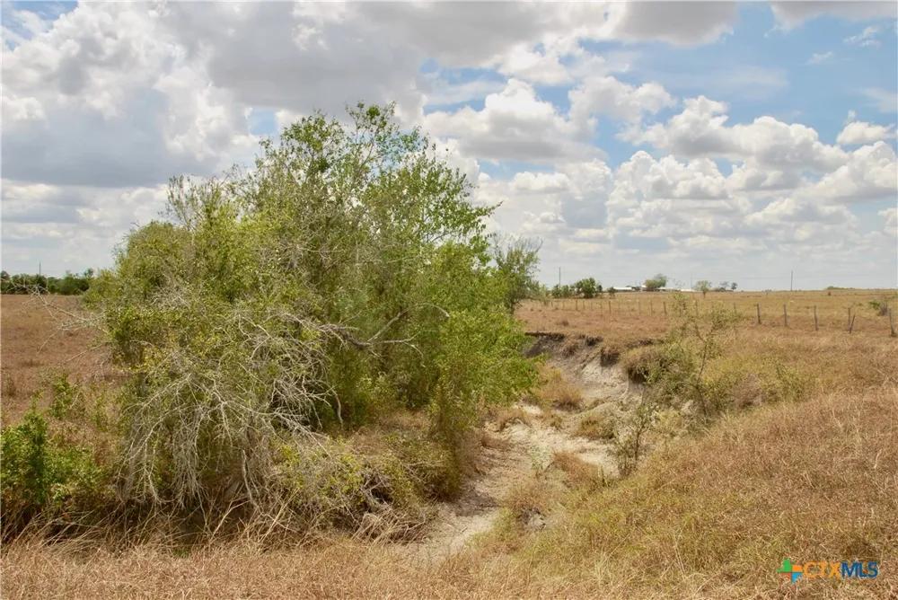 3 County Road 366 Shiner, TX 77984