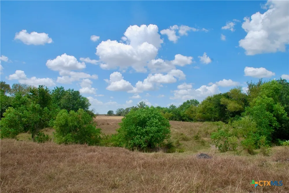 3 County Road 366 Shiner, TX 77984