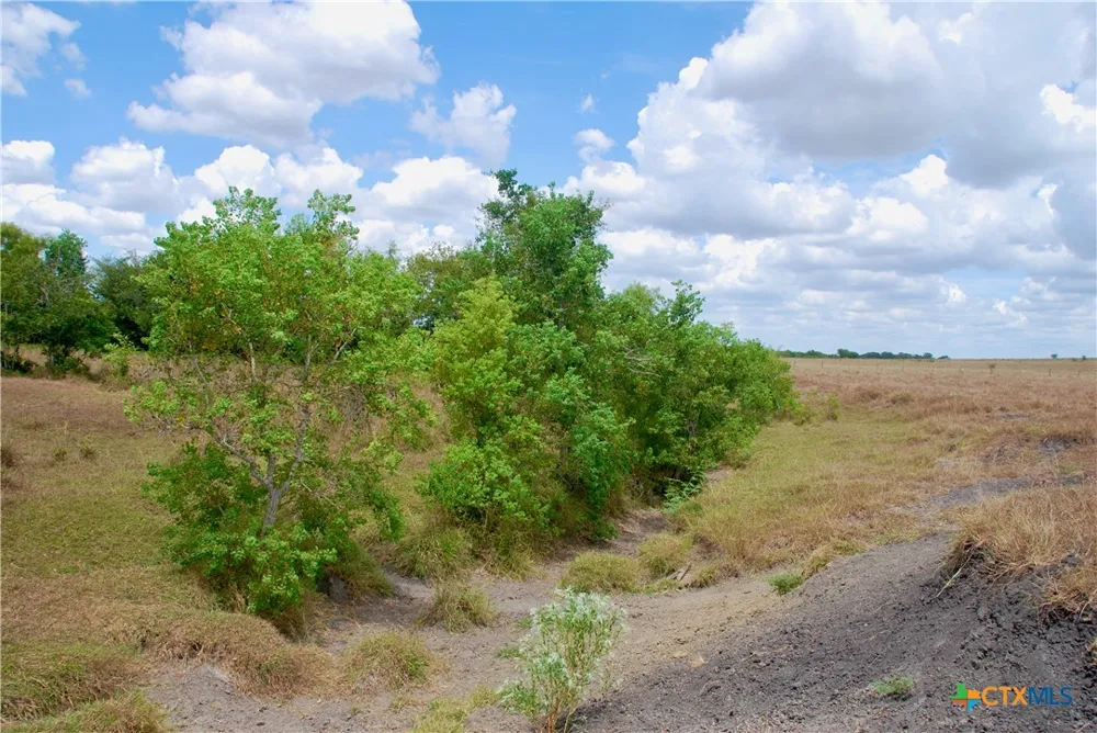 3 County Road 366 Shiner, TX 77984