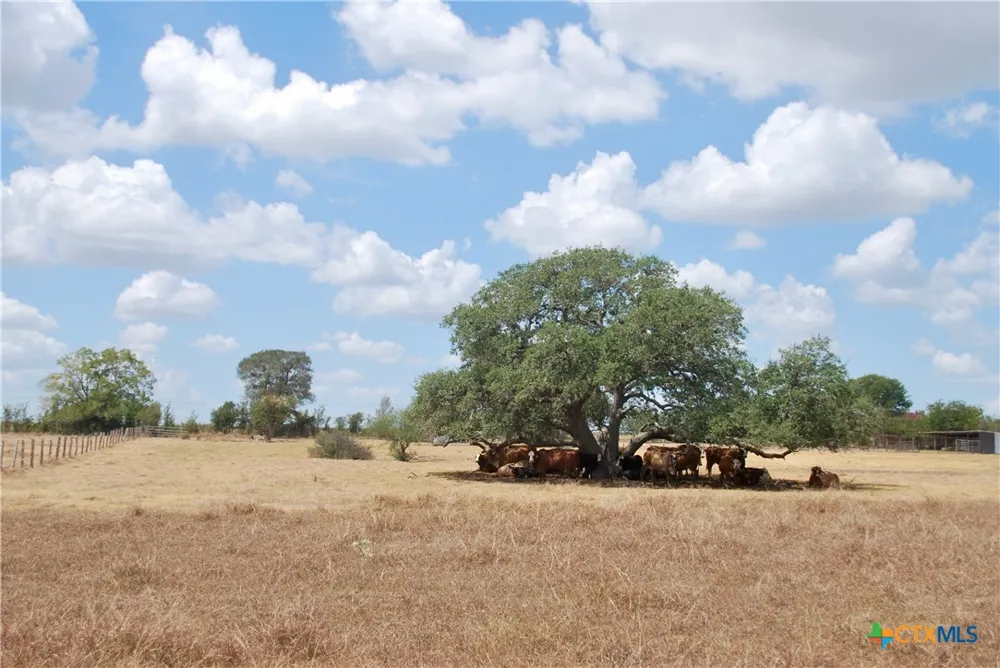 3 County Road 366 Shiner, TX 77984