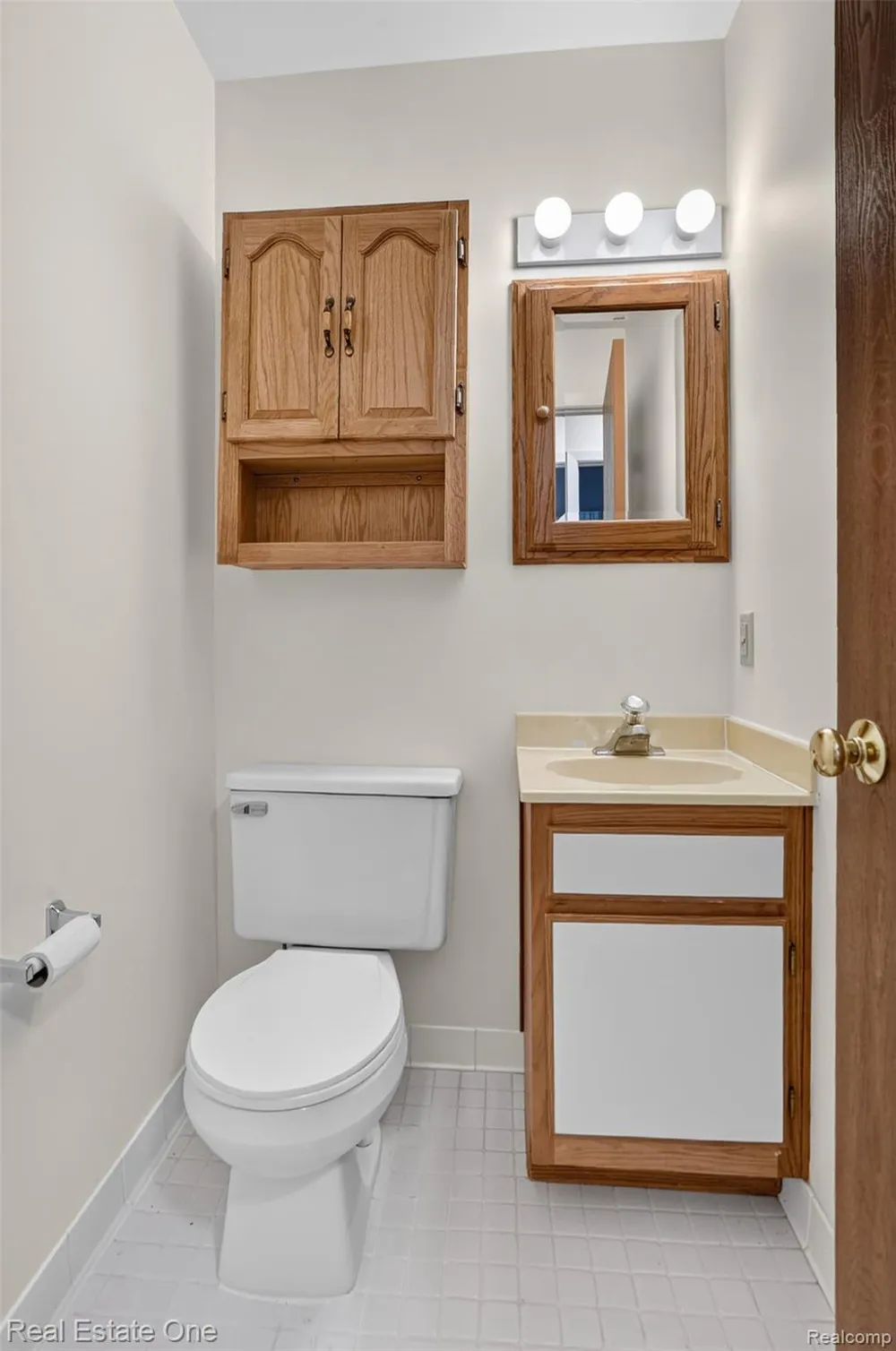 376 Spring Brooke Drive Brighton City, MI 48116