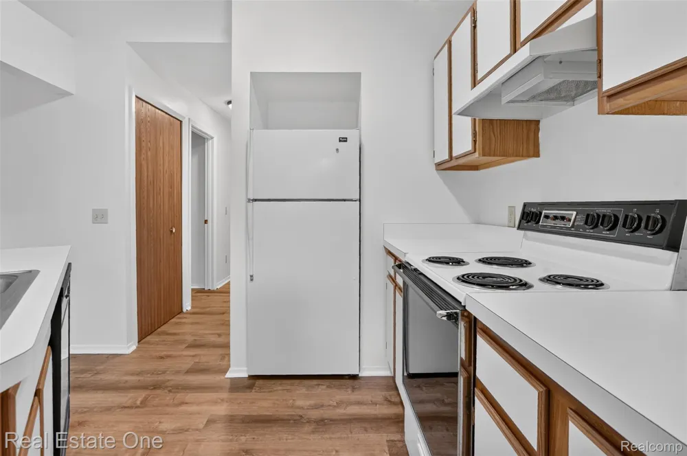376 Spring Brooke Drive Brighton City, MI 48116