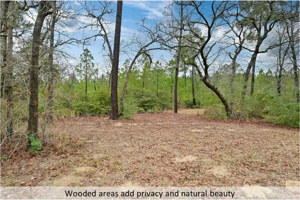 170 Woodland Court Bastrop, TX 78602