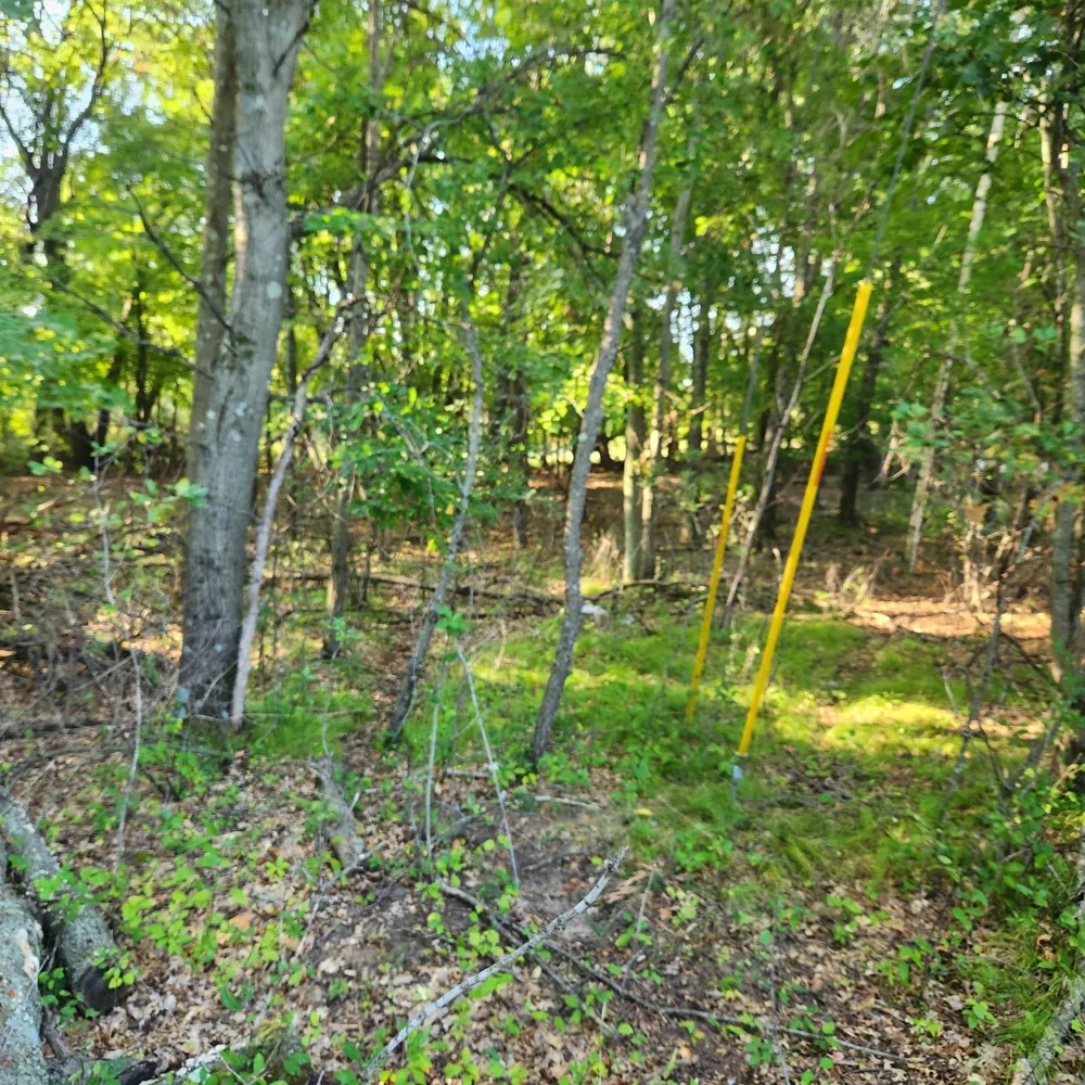 TBD 241st Lane Bethel, MN 55005