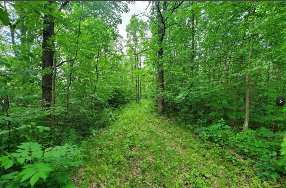 TBD 124th Lane McGrath, MN 56350