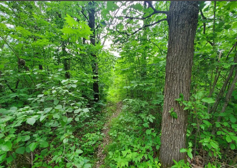 TBD 124th Lane McGrath, MN 56350