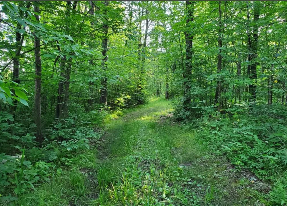 TBD 124th Lane McGrath, MN 56350