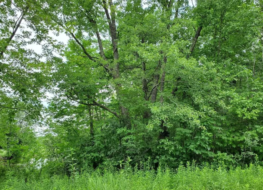 TBD 124th Lane McGrath, MN 56350