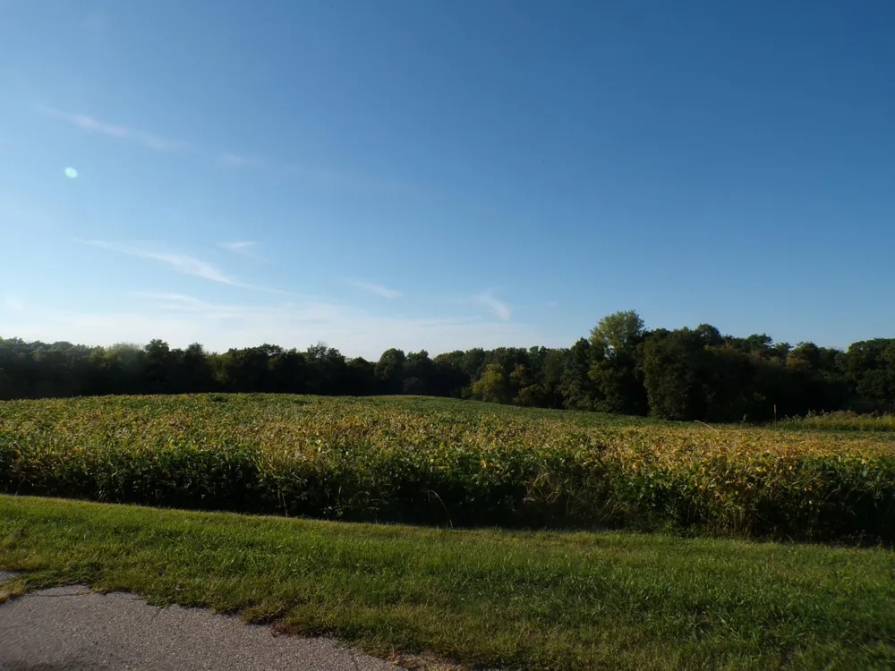 W8028 320th Avenue Hager City, WI 54014