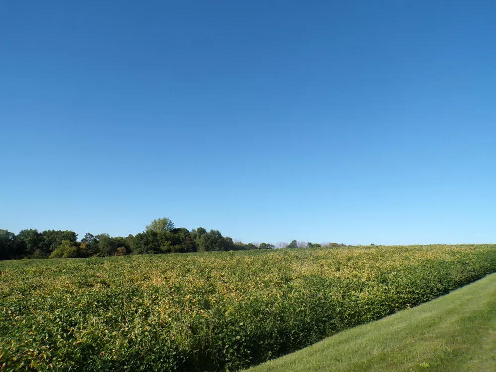 W8028 320th Avenue Hager City, WI 54014