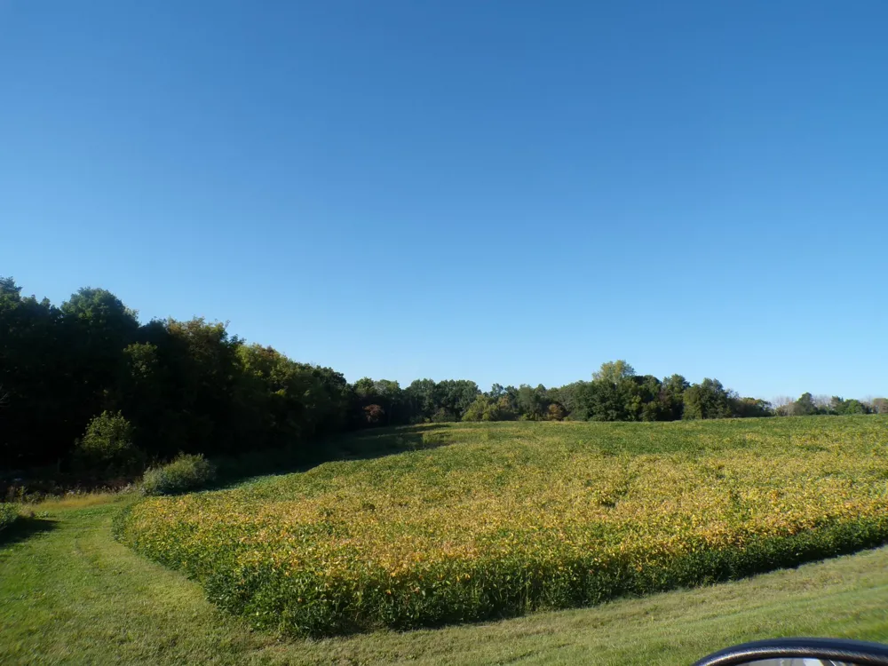 W8028 320th Avenue Hager City, WI 54014