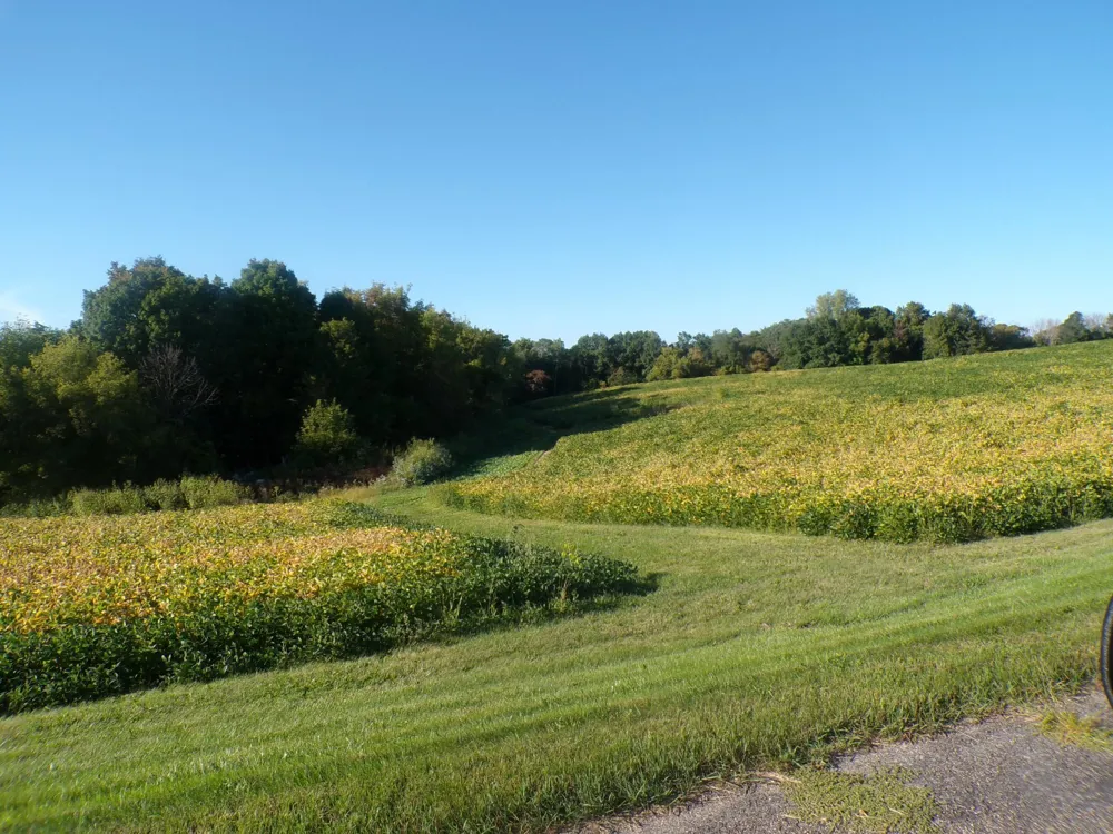 W8028 320th Avenue Hager City, WI 54014