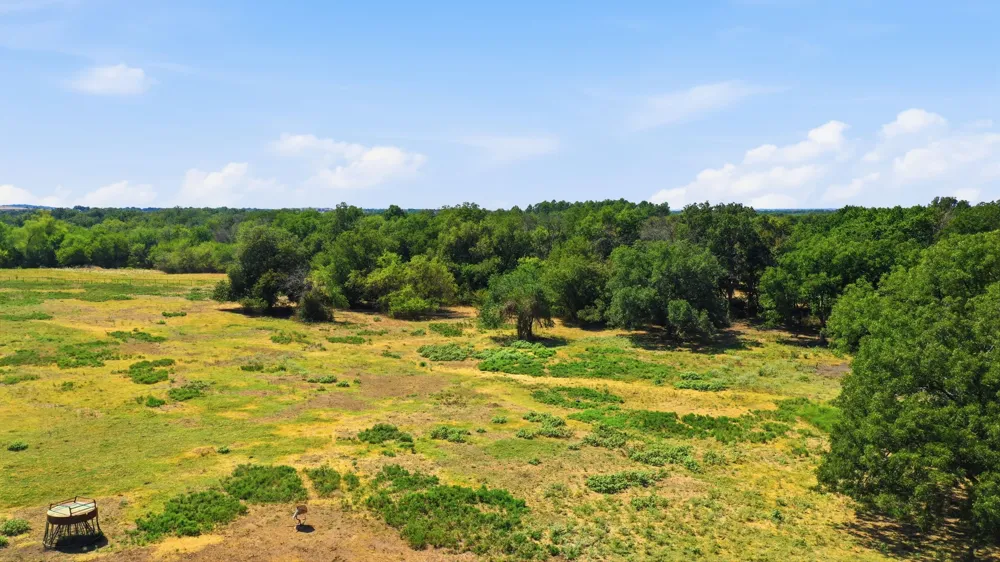 278 County Road 182 Gainesville, TX 76240