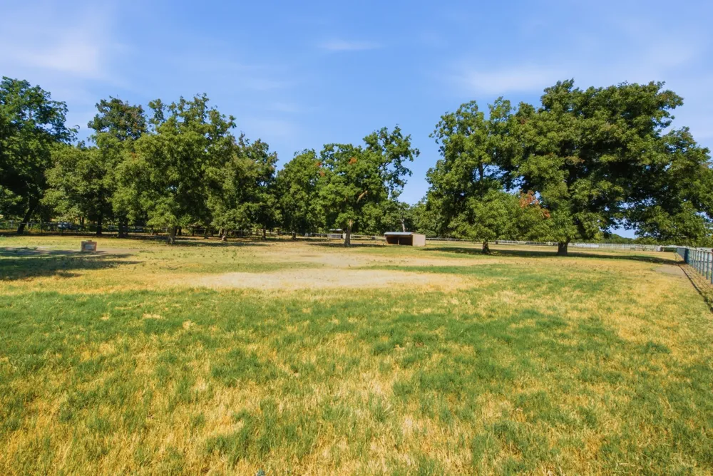 278 County Road 182 Gainesville, TX 76240