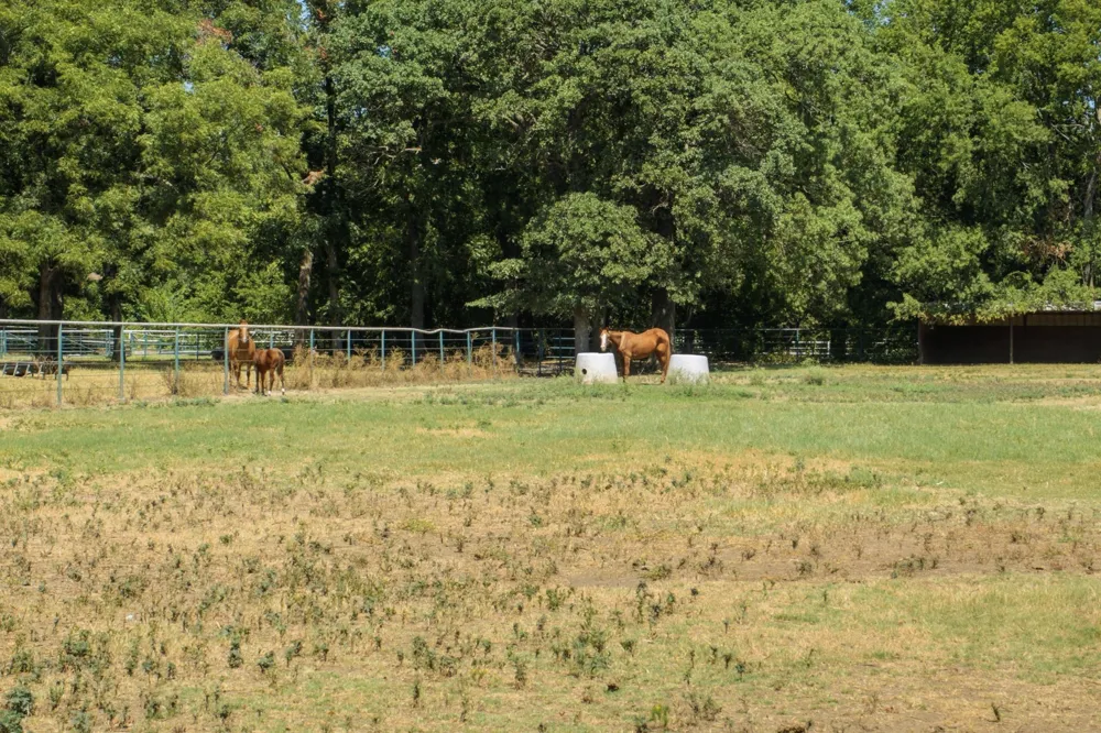 278 County Road 182 Gainesville, TX 76240