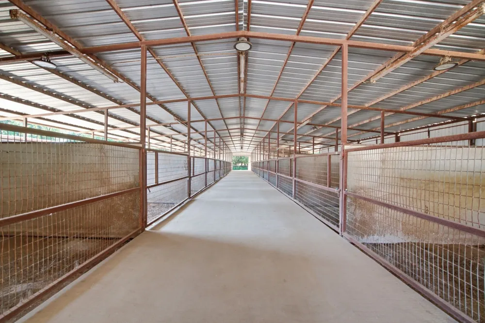 278 County Road 182 Gainesville, TX 76240