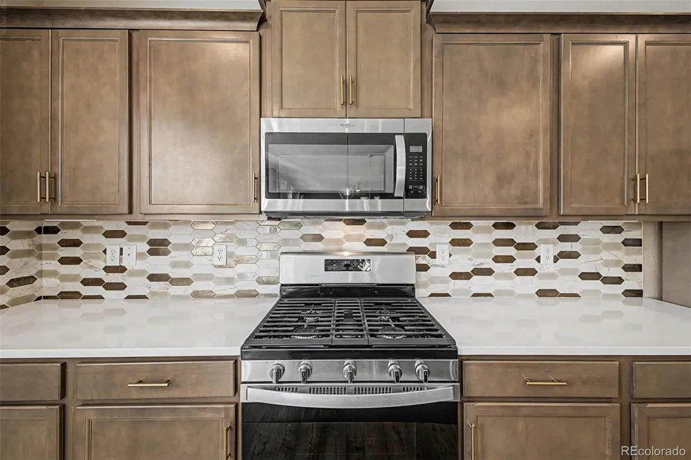 13994 Shasta Daisy Street Parker, CO 80134